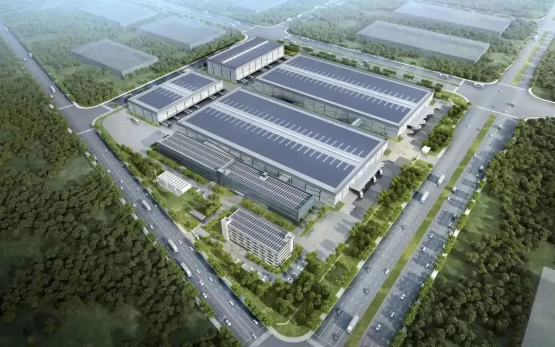 1690530809906991.jpg 10.jpg