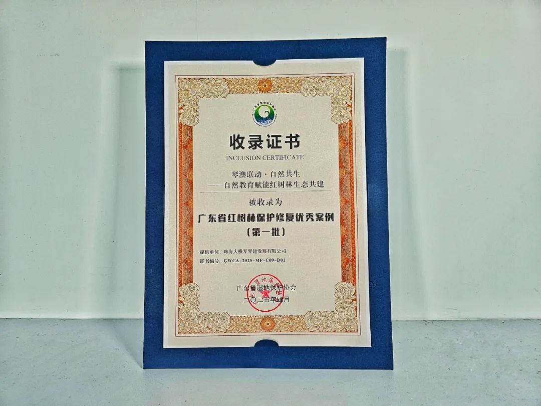 1747194142585275.jpg 4.jpg